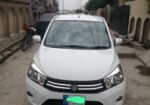 Suzuki Cultus