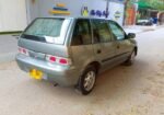 Suzuki cultus